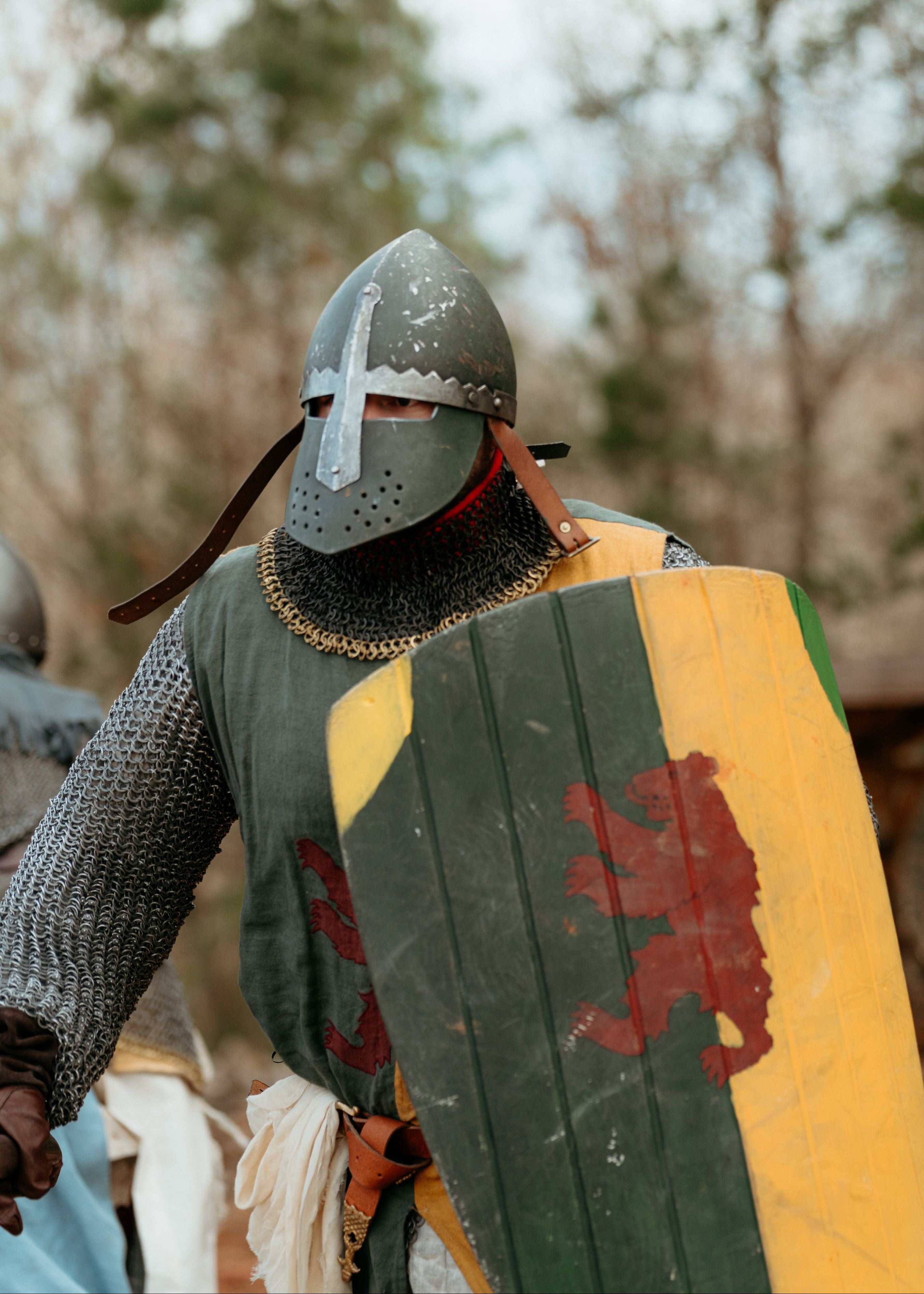 knight in medieval armor with a shield featuring a bear emblem, outdoors.